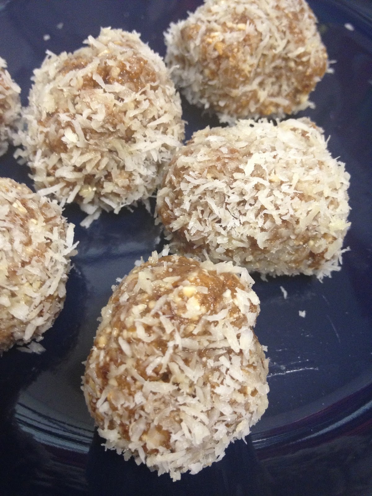 5Ingredient Paleo FruitNut Coconut Rolls